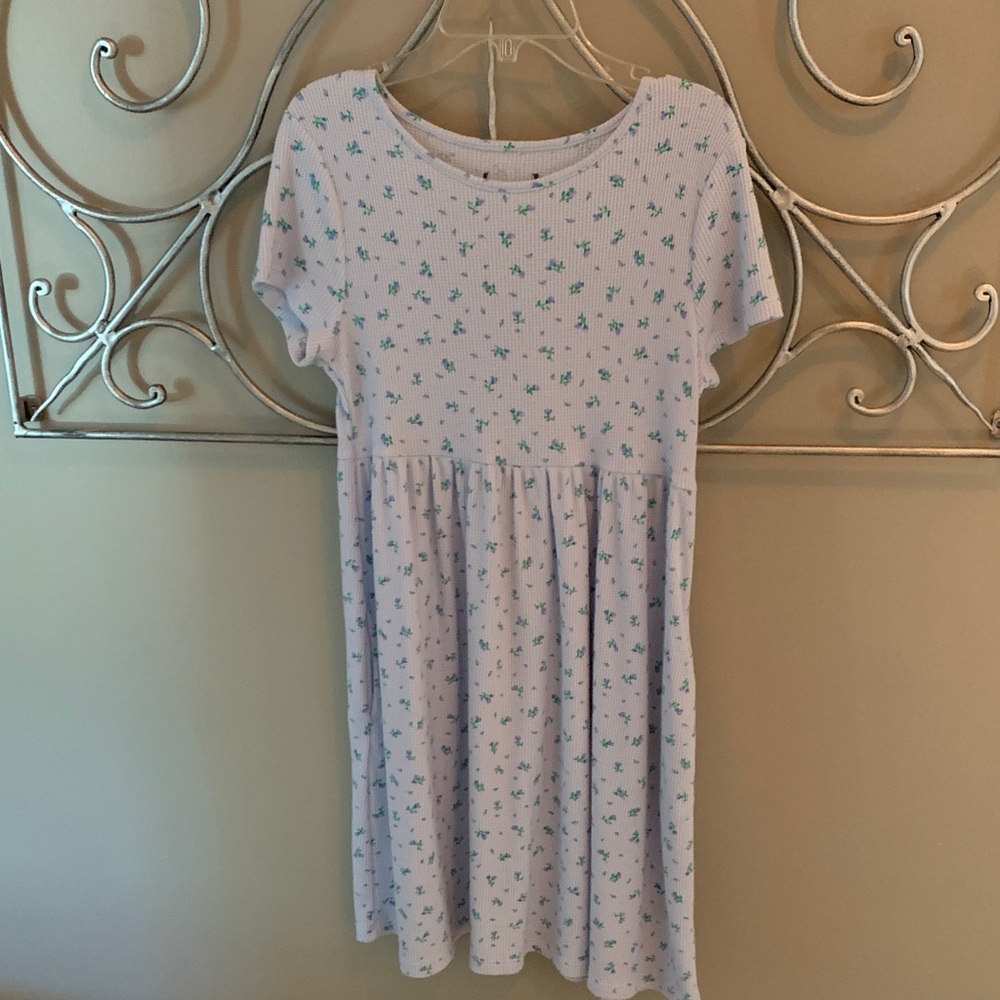 Wild Fable light blue with violet flowers.